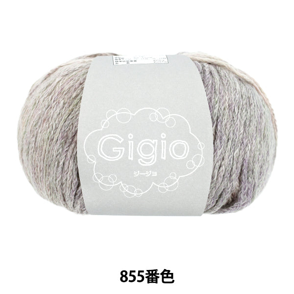 printemps/étépelote de laine "Gijo couleur 855" Fil de ski SKIYARN