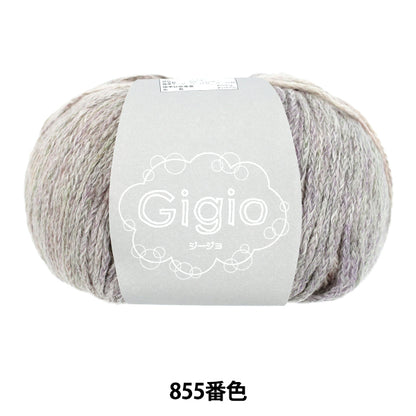 printemps/étépelote de laine "Gijo couleur 855" Fil de ski SKIYARN