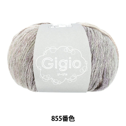 Frühling/SommerGarn "Gijo-Farbe 855" SKIYARN Skigarn