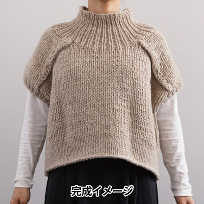 Strickset „Befestigungsweste 25W-0901" DARUMA DARUMA Yokota