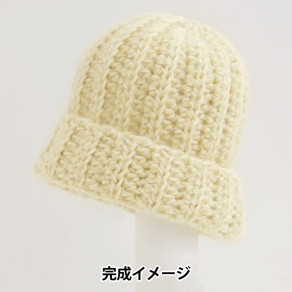 Strickpaket „Grobhäkelmütze A 25W-1005“" DARUMA DARUMA Yokota