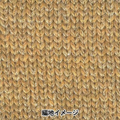 秋冬毛糸 『シャングリラ 2番色』 RichMore リッチモア