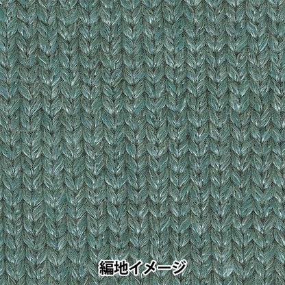 秋冬毛糸 『シャングリラ 4番色』 RichMore リッチモア