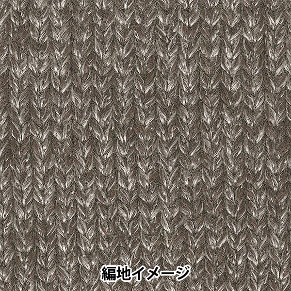 秋冬毛糸 『シャングリラ 6番色』 RichMore リッチモア