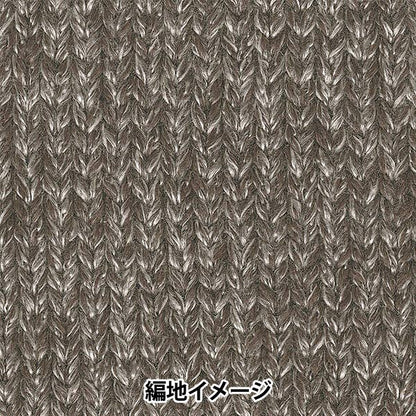 秋冬毛糸 『シャングリラ 6番色』 RichMore リッチモア