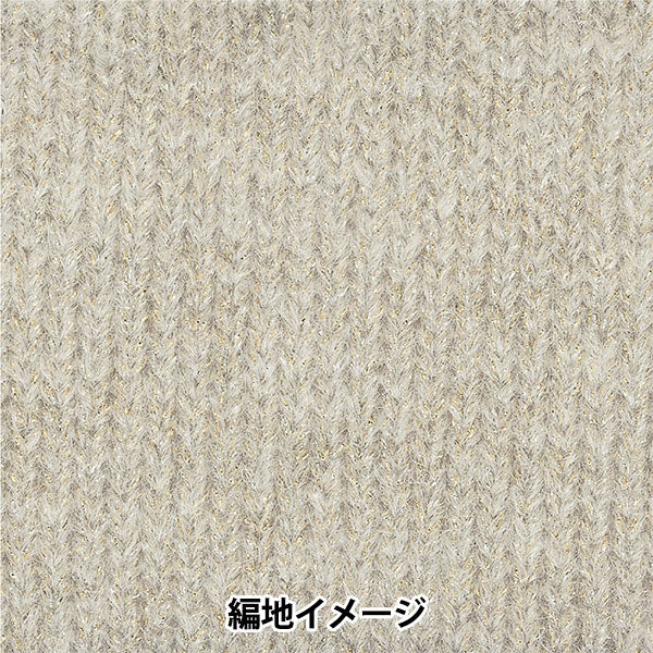 秋冬毛糸 『ファントム 1番色』 RichMore リッチモア