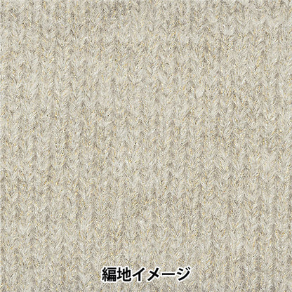 秋冬毛糸 『ファントム 1番色』 RichMore リッチモア