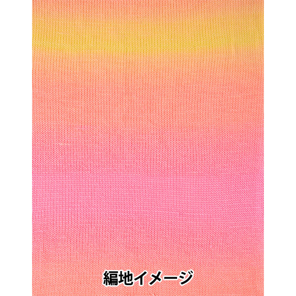春夏毛糸 『ジュエルスパン オンブレ アラン 100番色 F2620100』 SIRDER