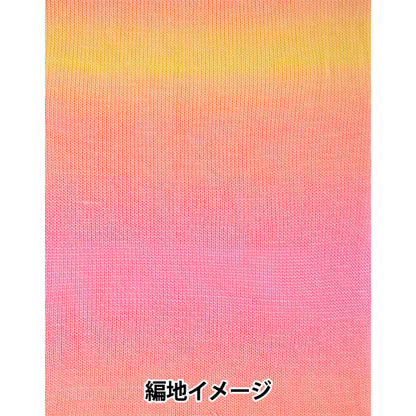 春夏毛糸 『ジュエルスパン オンブレ アラン 100番色 F2620100』 SIRDER
