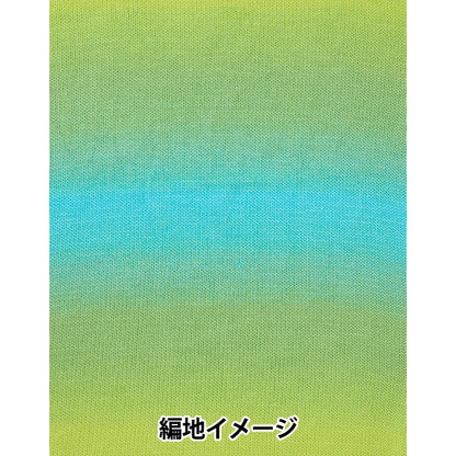 春夏毛糸 『ジュエルスパン オンブレ アラン 101番色 F2620101』 SIRDER