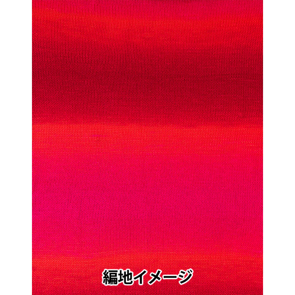春夏毛糸 『ジュエルスパン オンブレ アラン 102番色 F2620102』 SIRDER