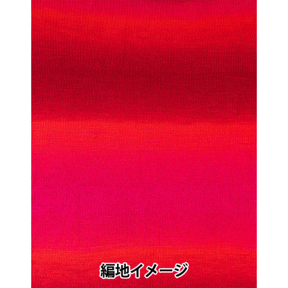 春夏毛糸 『ジュエルスパン オンブレ アラン 102番色 F2620102』 SIRDER