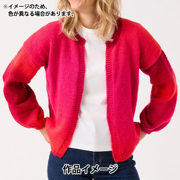 春夏毛糸 『ジュエルスパン オンブレ アラン 102番色 F2620102』 SIRDER