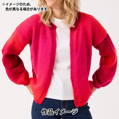 春夏毛糸 『ジュエルスパン オンブレ アラン 102番色 F2620102』 SIRDER