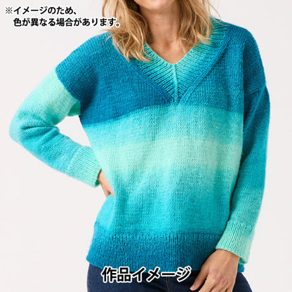 春夏毛糸 『ジュエルスパン オンブレ アラン 103番色 F2620103』 SIRDER