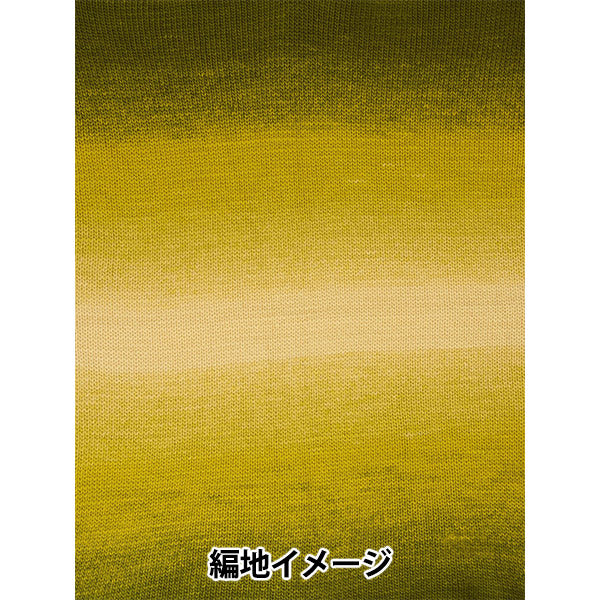 春天夏天紗線 "107号色F2620107’SIRDER