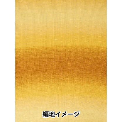 春夏毛糸 『ジュエルスパン オンブレ アラン 110番色 F2620110』 SIRDAR