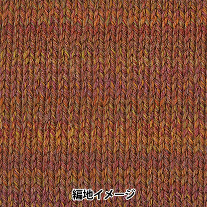 Fall and winterYarn "Tree House Breath 812 color" Olympus