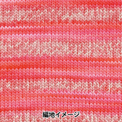 الخريف/الشتاءخيوط الغزل "مكياج 100 لون 1004" Olympus