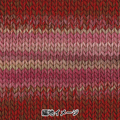 Fall and winterYarn "Makeup makeup 100 1034 color" Olympus