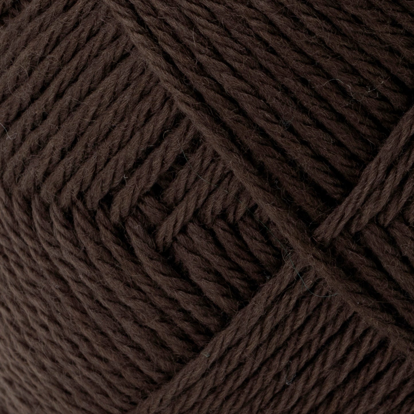 가을과 겨울털실 "Primour 9th Color" Olympus