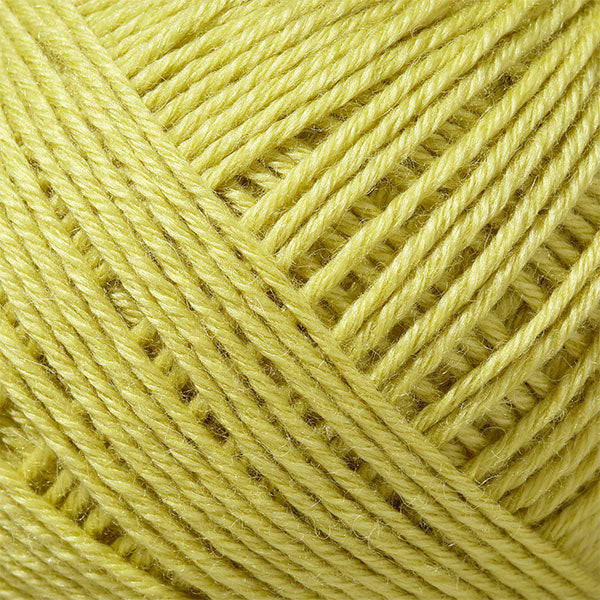 Fall and winterYarn "Kukat 5th color" Olympus