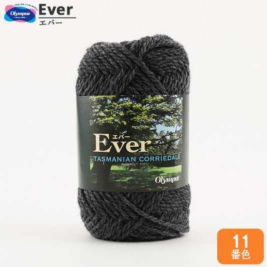 Wool autunno / inverno "Ever 11 (grigio) Bard" Olympus Olim Pass