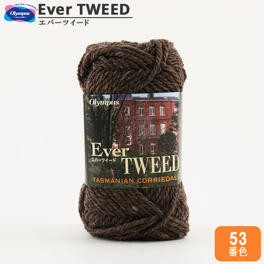秋冬毛糸 『Ever (エバー) ツイード 53番色』 Olympus オリムパス