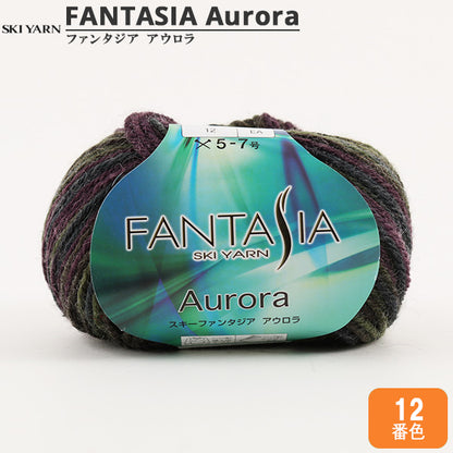 Automne et hiverpelote de laine "Fantasia Aurora (Fantasia Aulola) 12th Color "Skiyarn Ski Yarn