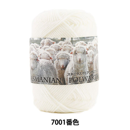 秋冬毛糸 『SKI TASMANIAN POLWARTH (スキータスマニアンポロワーズ) 7001番色』 SKIYARN スキーヤーン