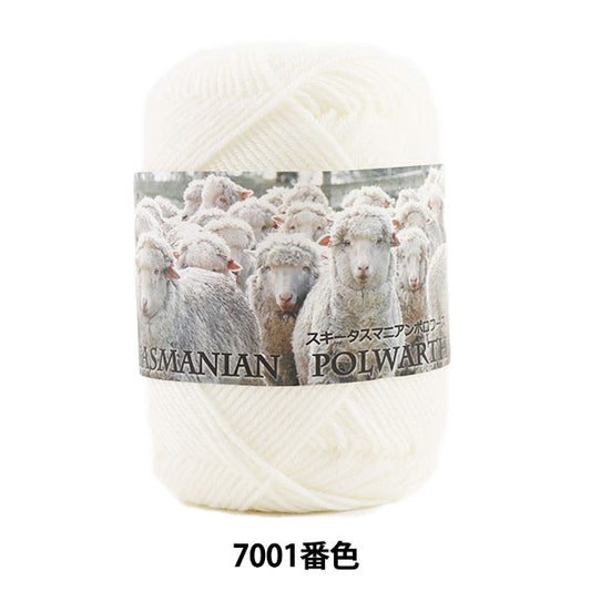 秋冬毛糸 『SKI TASMANIAN POLWARTH (スキータスマニアンポロワーズ) 7001番色』 SKIYARN スキーヤーン
