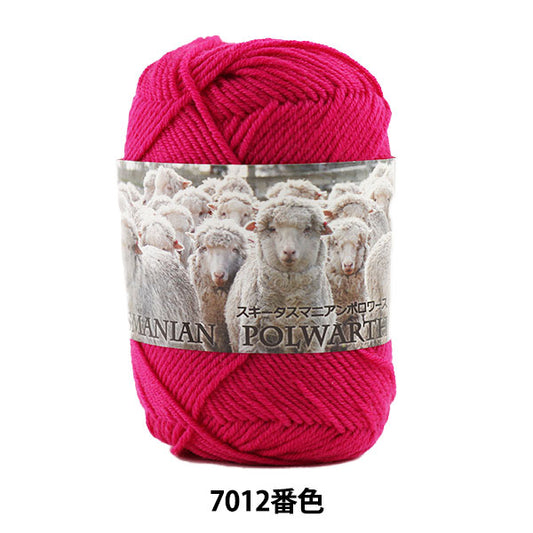 秋冬毛糸 『SKI TASMANIAN POLWARTH (スキータスマニアンポロワーズ) 7012番色』 SKIYARN スキーヤーン