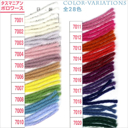 秋冬毛糸 『SKI TASMANIAN POLWARTH (スキータスマニアンポロワーズ) 7001番色』 SKIYARN スキーヤーン