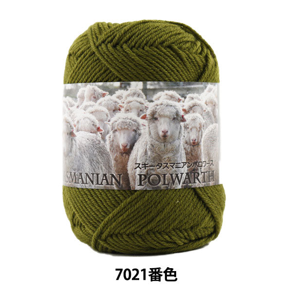 秋冬毛糸 『SKI TASMANIAN POLWARTH (スキータスマニアンポロワーズ) 7021番色』 SKIYARN スキーヤーン