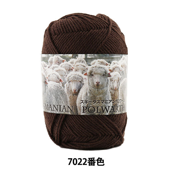 Осень и зимаПряжа "Ski Tasmanian Polwarth 7022 Color "Skiyarn Ski Yarn