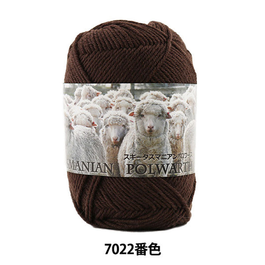 秋冬毛糸 『SKI TASMANIAN POLWARTH (スキータスマニアンポロワーズ) 7022番色』 SKIYARN スキーヤーン