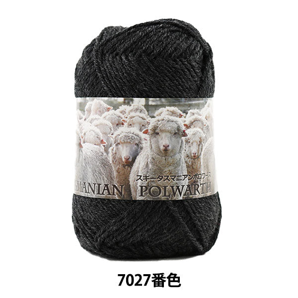 秋冬毛糸 『SKI TASMANIAN POLWARTH (スキータスマニアンポロワーズ) 7027番色』 SKIYARN スキーヤーン