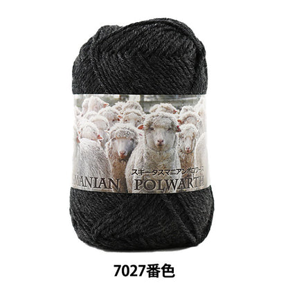 秋冬毛糸 『SKI TASMANIAN POLWARTH (スキータスマニアンポロワーズ) 7027番色』 SKIYARN スキーヤーン