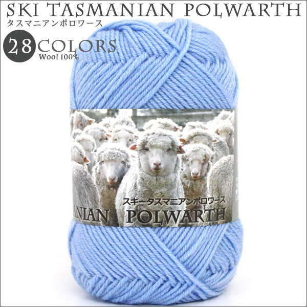 Осень и зимаПряжа "Ski Tasmanian Polwarth 7022 Color "Skiyarn Ski Yarn