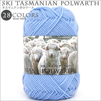 秋冬毛糸 『SKI TASMANIAN POLWARTH (スキータスマニアンポロワーズ) 7027番色』 SKIYARN スキーヤーン