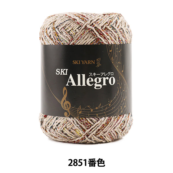 Fall and winterYarn "SKI ALLEGRO (ski allegro) 2851 color] SKIYARN Ski Yarn