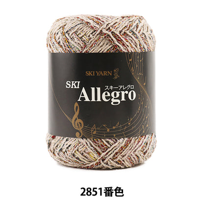 Fall and winterYarn "SKI ALLEGRO (ski allegro) 2851 color] SKIYARN Ski Yarn