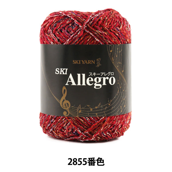 Fall and winterYarn "SKI ALLEGRO (Ski Allegro) 2855 Color] SKIYARN Ski Yarn