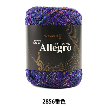 Осень / зимняя шерсть "Ski Allegro (Ski Allegro) 2856 №" Skiyarn Ski Yarn