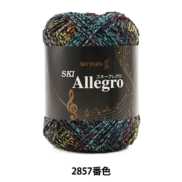 Fall and winterYarn "SKI ALLEGRO (Ski Allegro) 2857 color] SKIYARN Ski Yarn