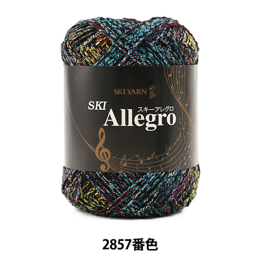 Fall and winterYarn "SKI ALLEGRO (Ski Allegro) 2857 color] SKIYARN Ski Yarn