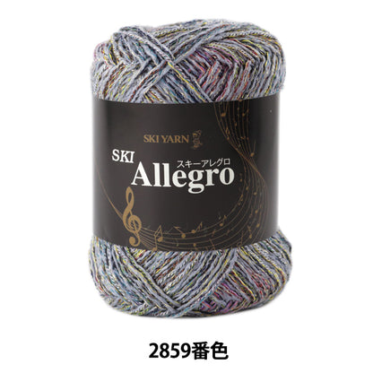 Fall and winterYarn "SKI ALLEGRO (Ski Allegro) 2859 Color] SKIYARN Ski Yarn