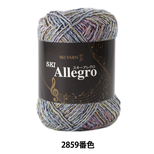 Fall and winterYarn "SKI ALLEGRO (Ski Allegro) 2859 Color] SKIYARN Ski Yarn