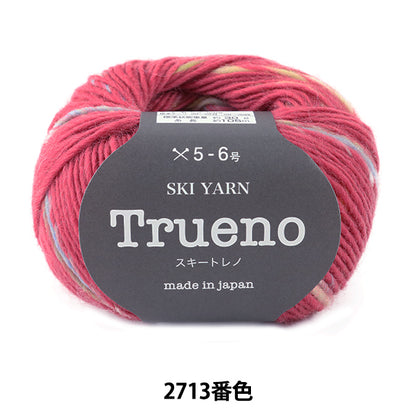 الخريف/الشتاءخيوط الغزل "خيط التزلج SKI TRUENO (Ski Trueno) اللون 2713 بوصة SKIYARN للتزلج