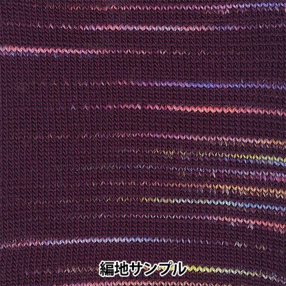 Осень и зимаПряжа "Ski Trueno 2717 Color] Skiyarn Ski пряжа